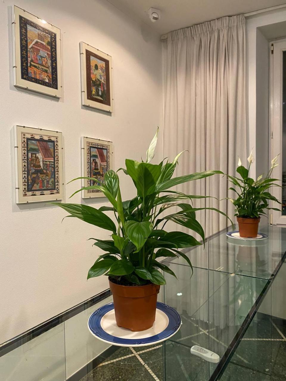Martel Rooms - Genova Centro Brignole Ngoại thất bức ảnh